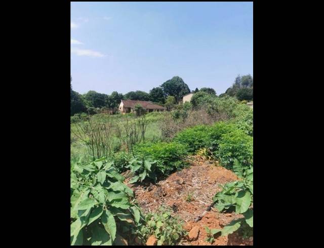 LAND FOR SALE IN SABIE EXT 9